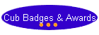 Cub Badges & Awards