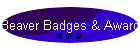 Beaver Badges & Awards