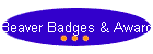 Beaver Badges & Awards